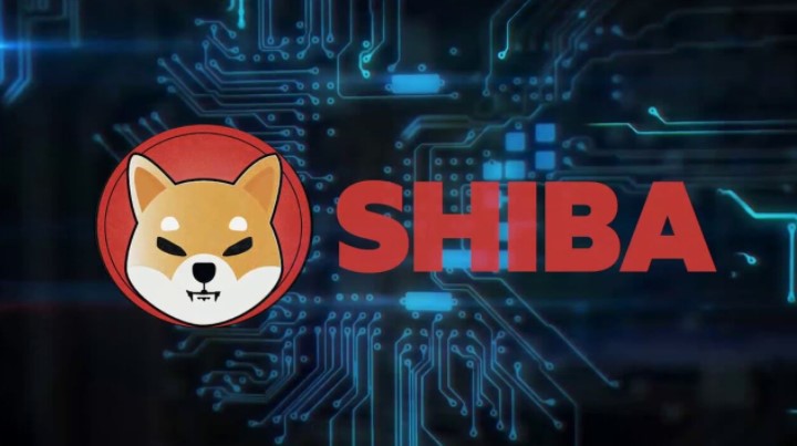 Криптовалюта Shiba Inu Coin убийца Dogecoin растет на 2260% за неделю.  Прогноз курса